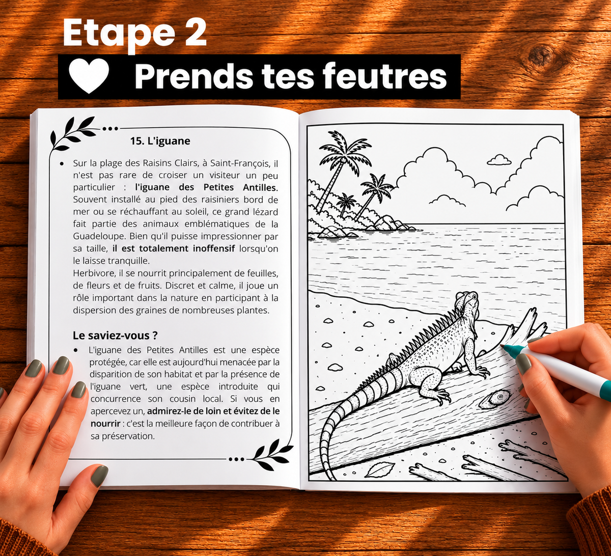Coffret Évasion